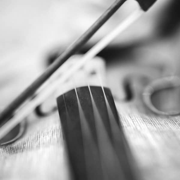 cours de violon adultes